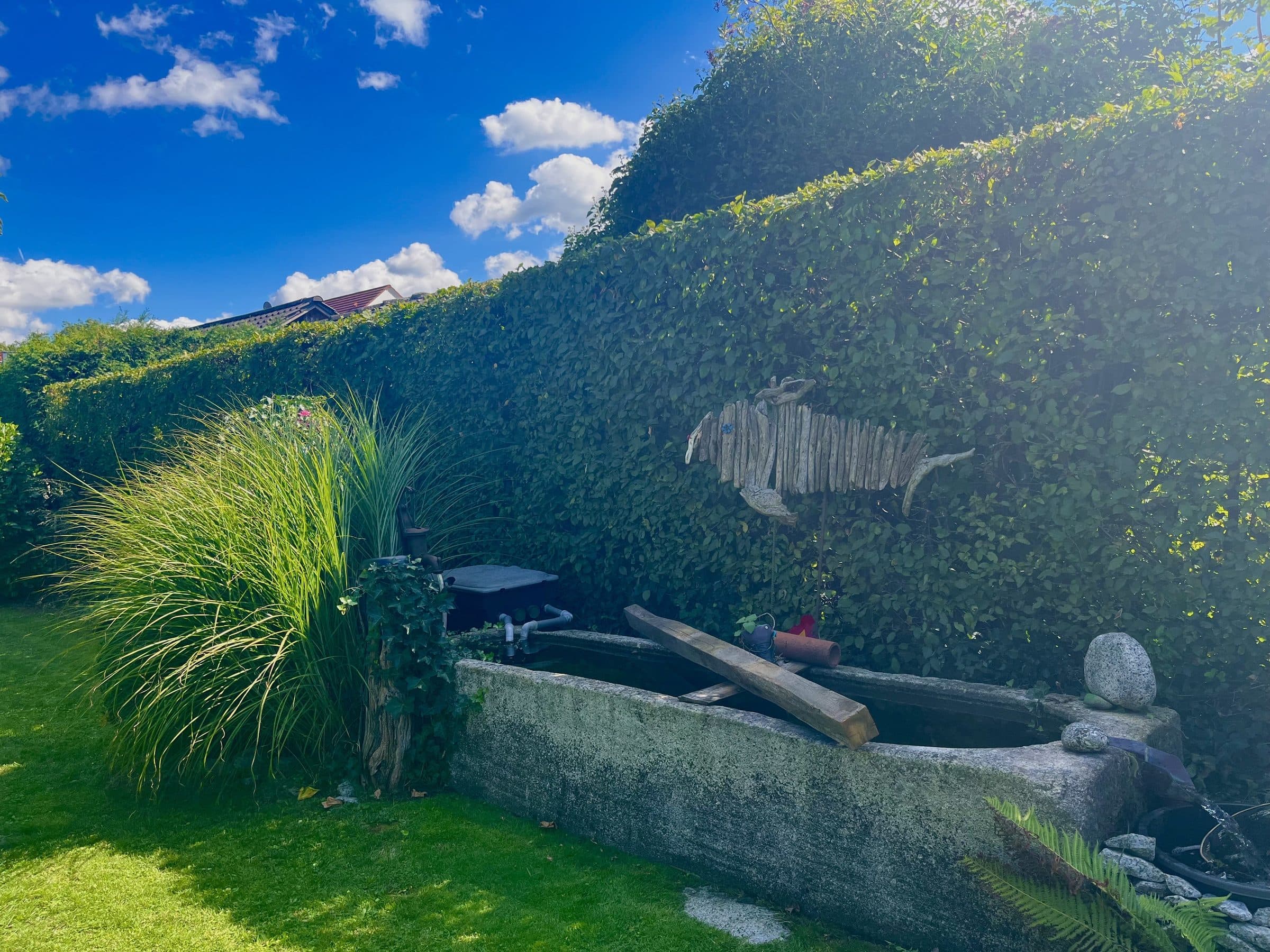 Frisch geschnittene Hecke über gemähtem Rasen in einem Privatgarten bei Neumarkt in der Oberpfalz